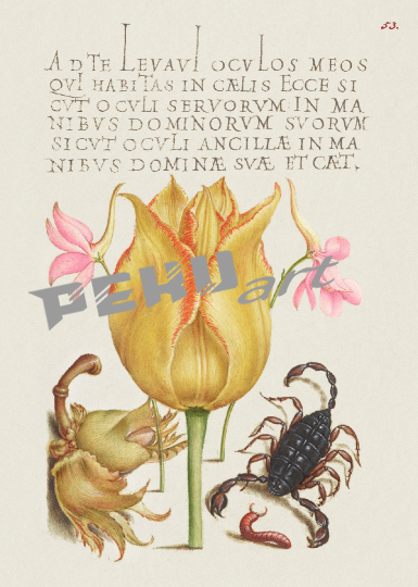 vintage-kunst-kalligrafie-blumen