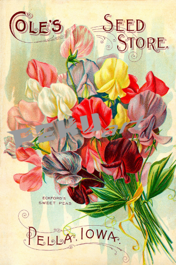 vintage-saatgut-garten-katalog