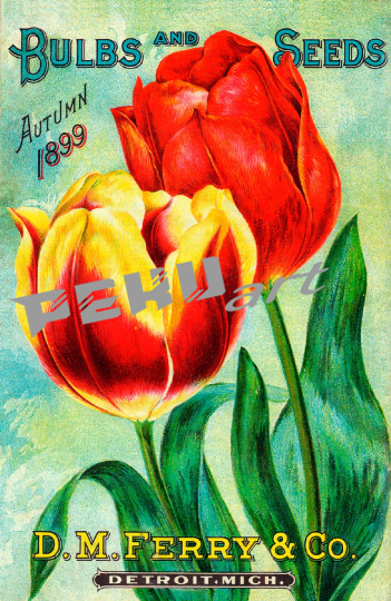 vintage-saatgut-garten-katalog