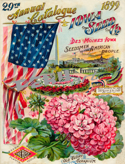 vintage-saatgut-garten-katalog