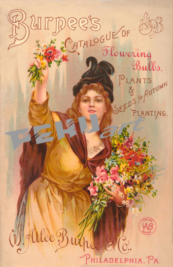 vintage-saatgut-garten-katalog