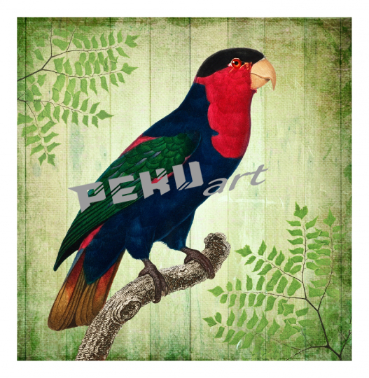 vintage-tropischer-vogel-papagei