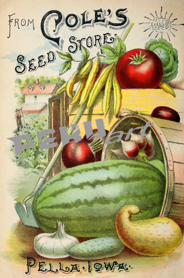 vintage-werbung-gemuse-obst