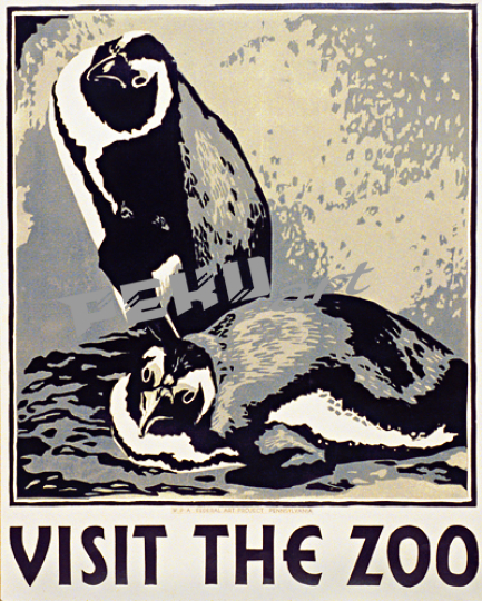 visit the zoo penquins wpagiclee