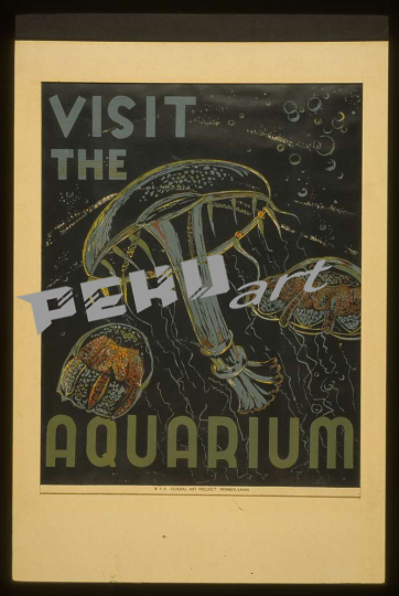 visit-the-aquarium-499fb5