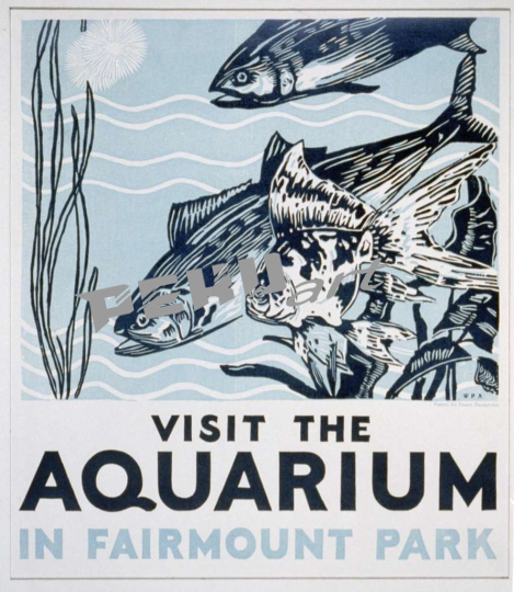 visit-the-aquarium-in-fairmount-park-48dcb0
