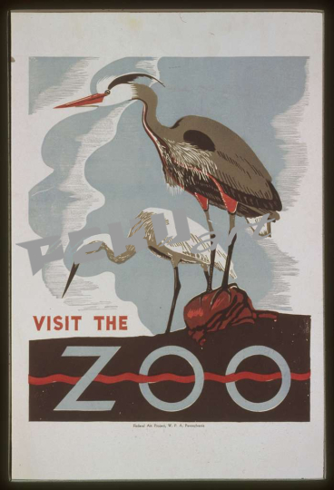 visit-the-zoo-fedf24