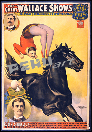 Wallace Shows HorseCircus