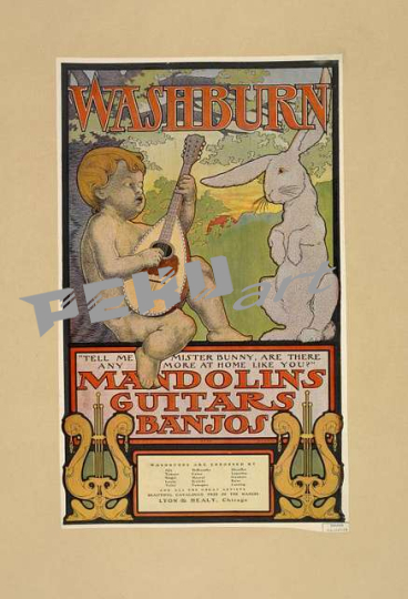 washburn-mandolins-guitars-banjos-755e40