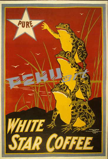 White Star Coffee Frogs 