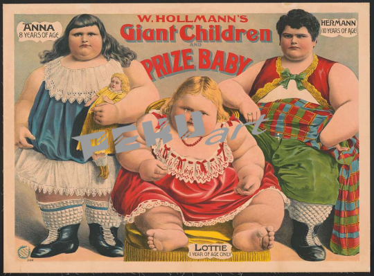 w-hollmanns-giant-children-and-prize-baby-38fce6