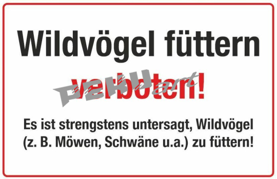 wildvögel