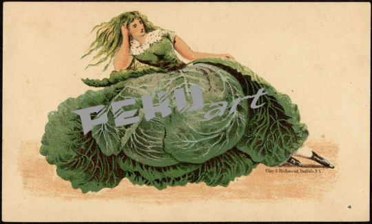 woman-leaning-in-a-dress-made-up-of-a-cabbage-d44862