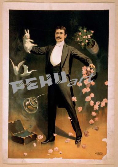 zan-zig-performing-with-rabbit-and-roses-including-hat-trick