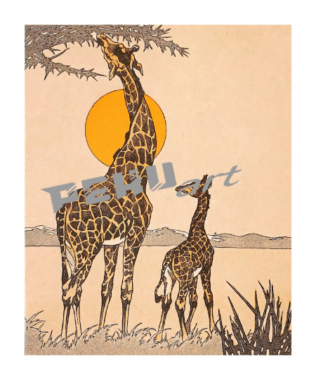 afrika-giraffe-landschaft-vintage