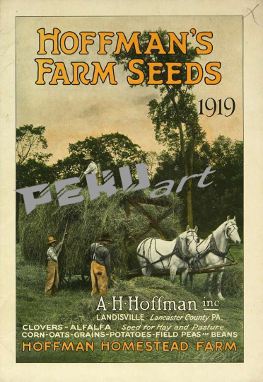 ah-hoffman-seeds-inc-materials-bhl47107478-aa5fe7