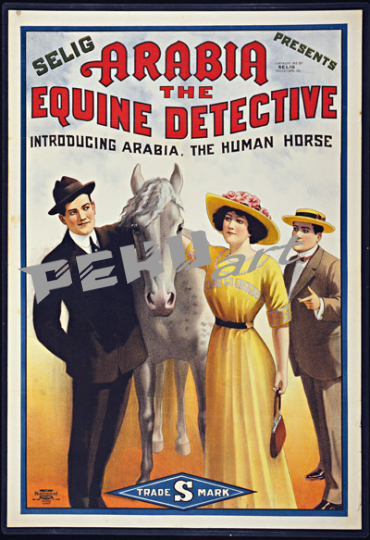 Arabia Equine Detective