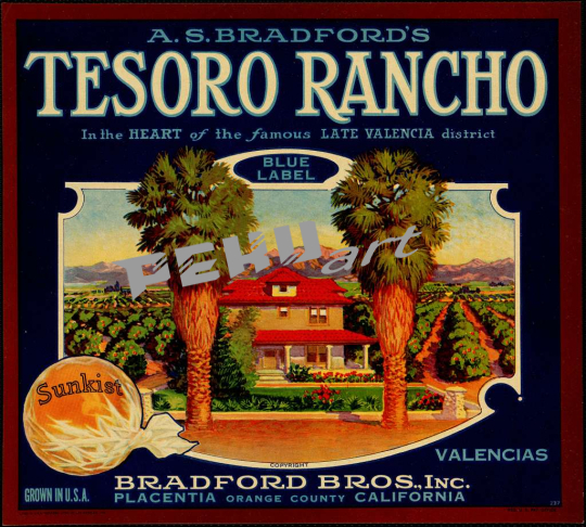 a-s-bradfords-tesoro-rancho-in-the-heart-of-the-famous-late-