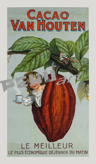 Cacao Van Houton 