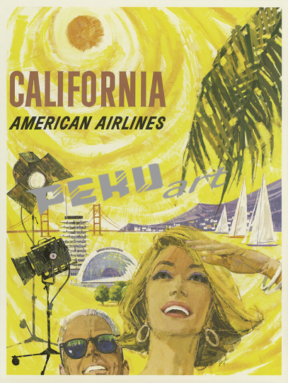 california american airlines aviation 