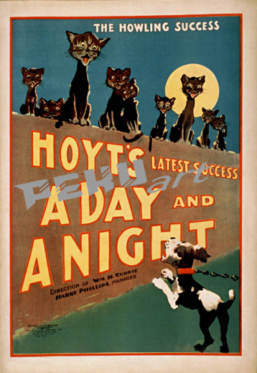 Cats AndDog Night and Day