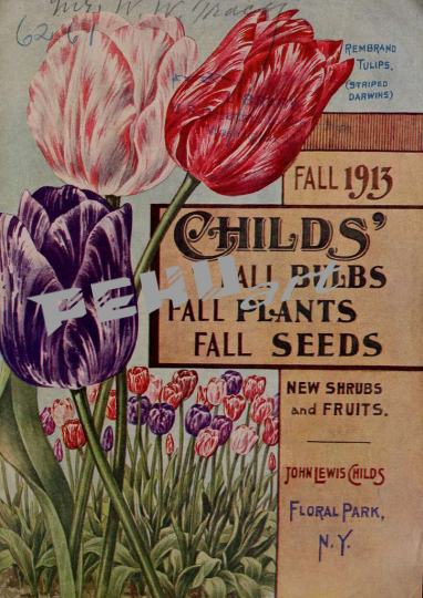 childs-fall-bulbs-fall-plants-fall-seeds-fall-1913-front-cov