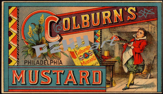 colburns-philadelphia-mustard-678abb