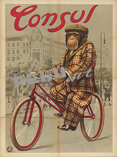 Consul Cycles Monkey Classic