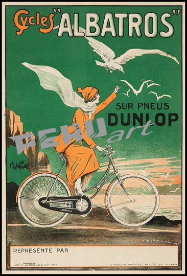 cycles albatros dunlop bicycle 