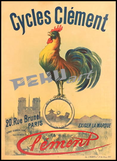 Cycles Clement Rooster