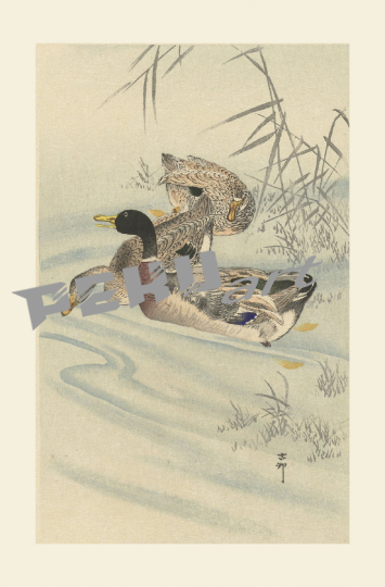 ducks-japanese-vintage-art