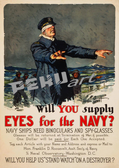 Eyes for the Navy