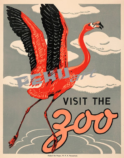 flamingo wpa visit the zoo 