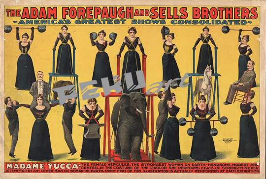 forepaugh sells bros madame yucca circus poste