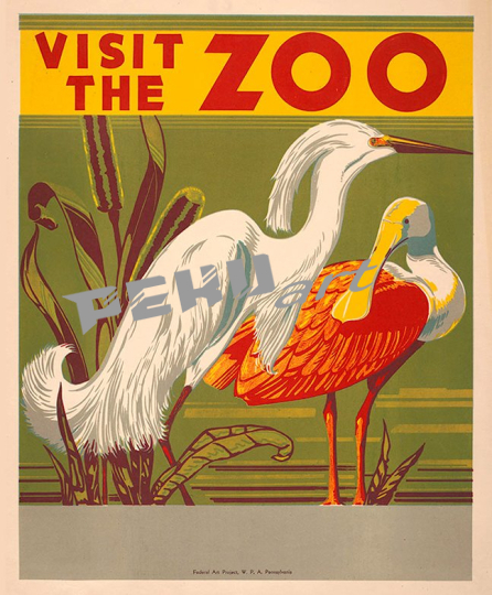 heron spoonbill wpavisit the zoo