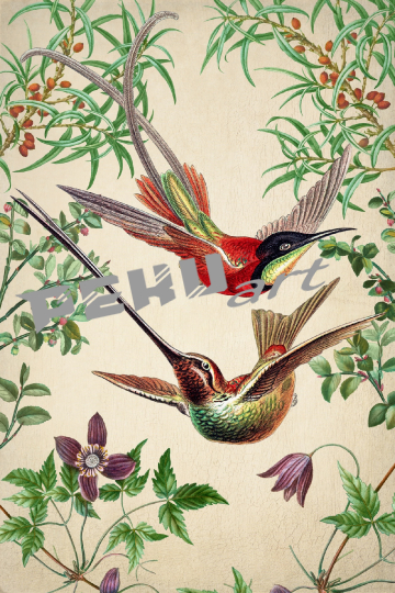 kolibri-vintage-kunst-poster