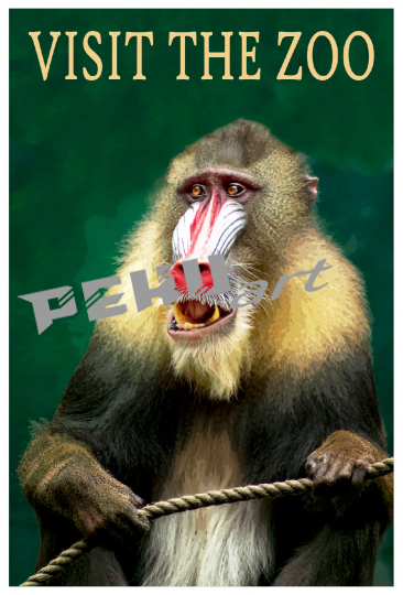 mandrill-visit-zoo-poster