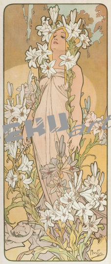 Mucha the flowers lily 