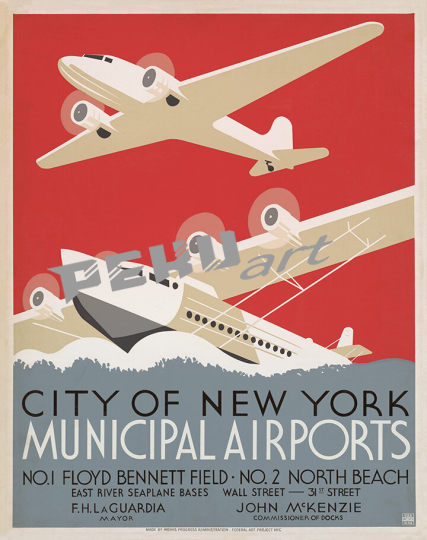 New York Municipal airports airplane 
