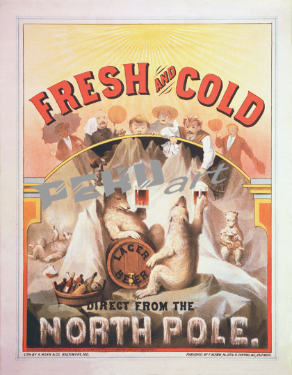 north pole fresh cold beer polar bears p