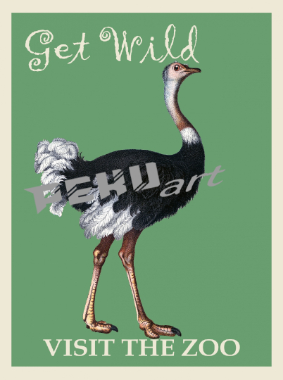 ostrich-zoo-poster