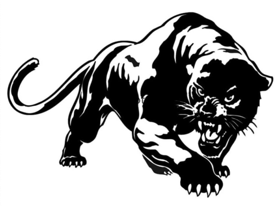 Panter1