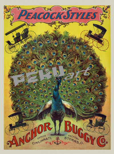 peacock-style-carriages-poster