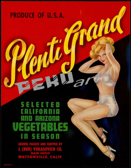 plenti-grand-selected-california-and-arizona-vegetables-in-s