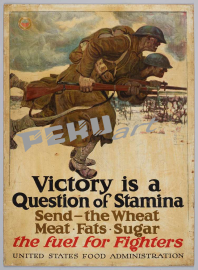 poster-victory-is-a-question-of-stamina-cb32c6