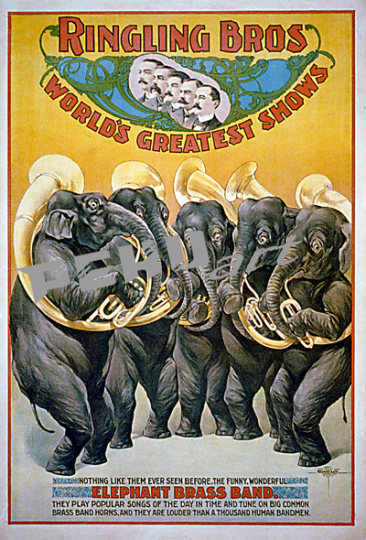 Ringling Elephants Brass Band Circus 