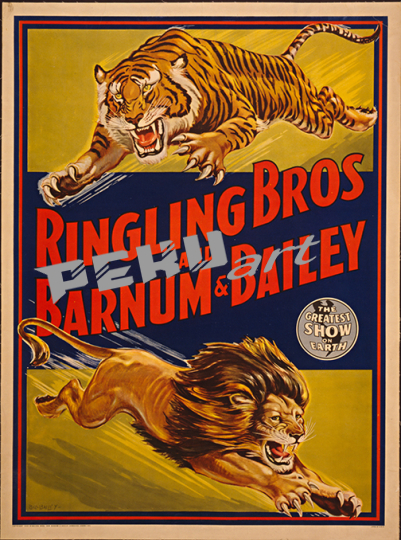 Ringling Lions and TigersCircus