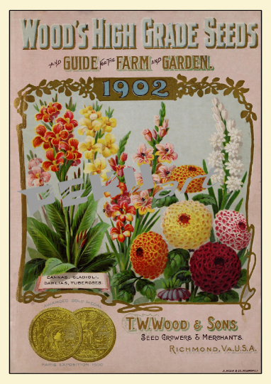seed-catalogue-vintage-print