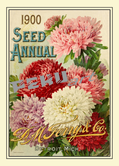 seed-catalogue-vintage-print