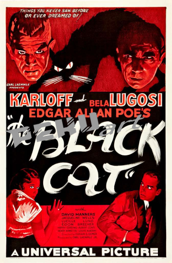 the-black-cat-1934-poster-style-b-bde5ac